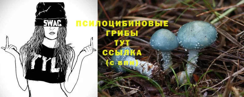 наркотики  Солигалич  Псилоцибиновые грибы MAGIC MUSHROOMS 